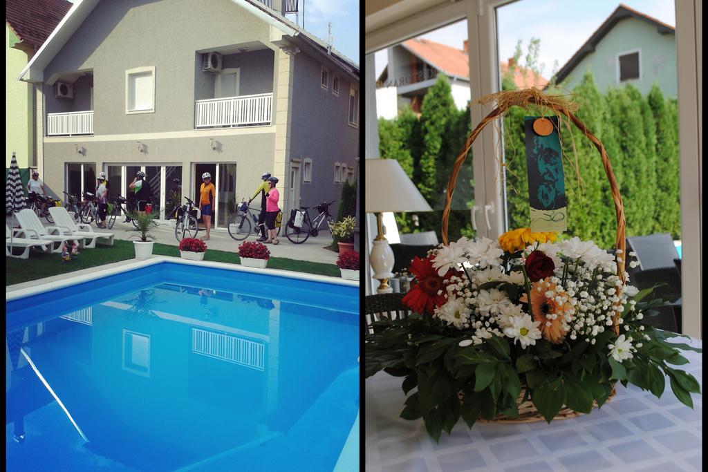 Vila Delux Negotin Ngoại thất bức ảnh